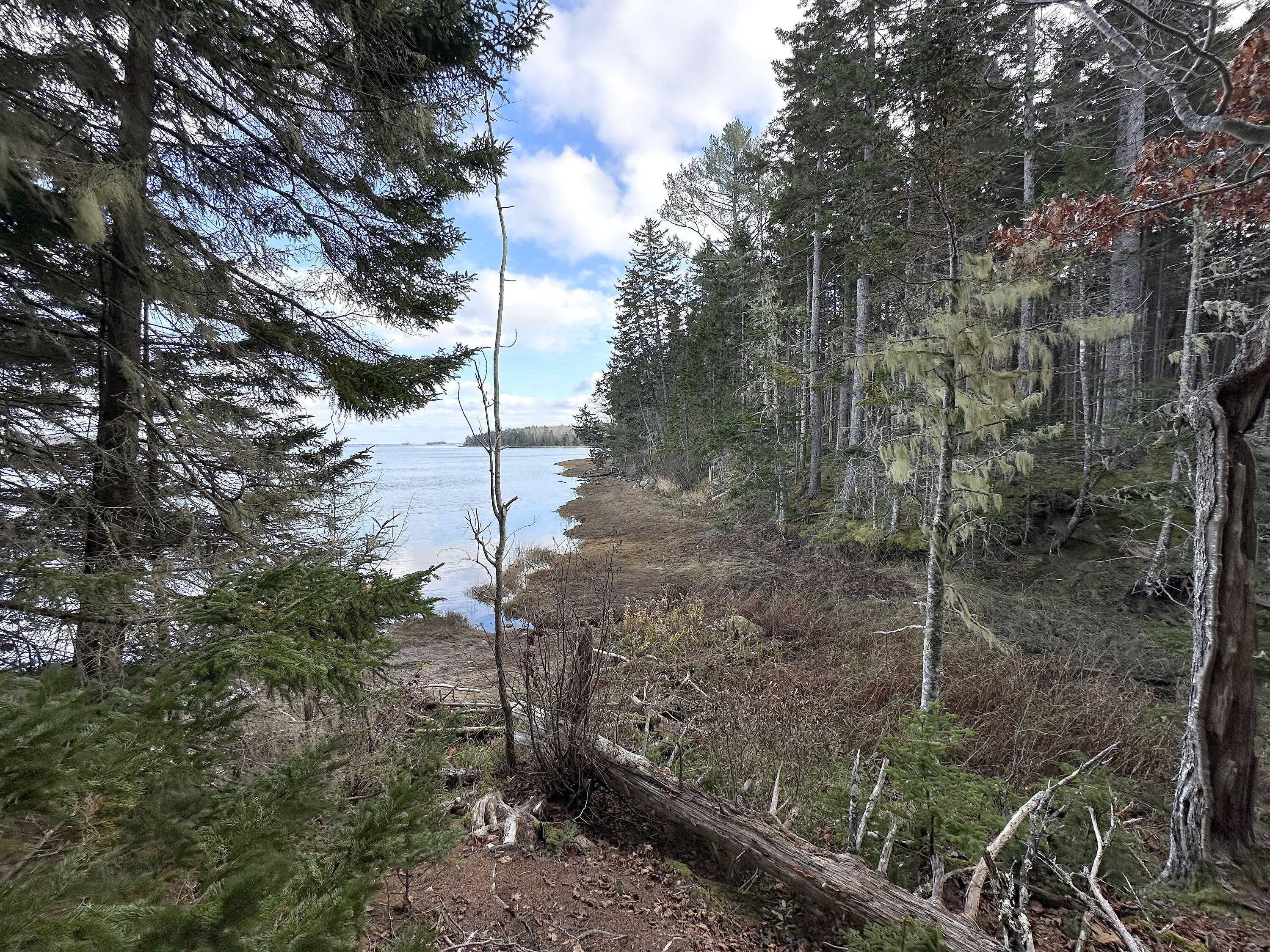 102 Naskeag Point Road Brooklin, ME 04616 - Photo 1 of 22 102 Naskeag_001