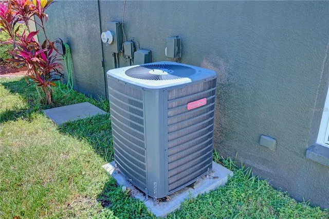 a view of a backyard with plants and a garden
