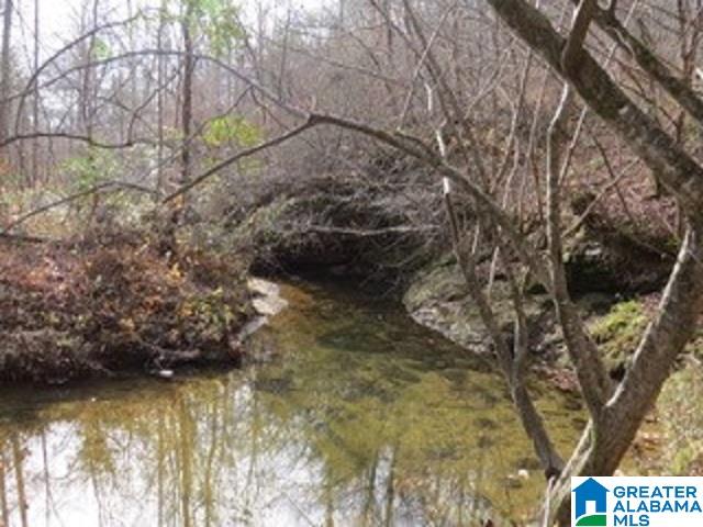 436 County Road, Unit 41 87 Muscadine, AL 36269 - Photo 2 of 8