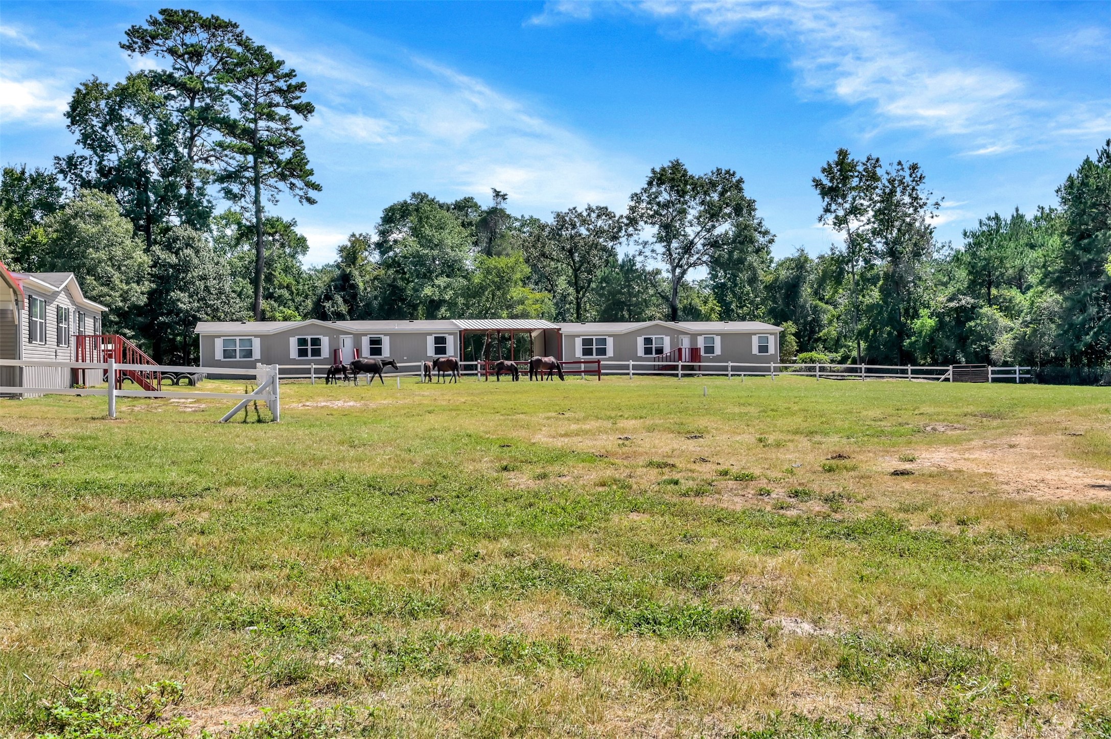 26768 A Dobbin-Huffsmith Road Magnolia, TX 77354 - Photo 4 of 29 a view of a swimming pool with outdoor seating and a forest
