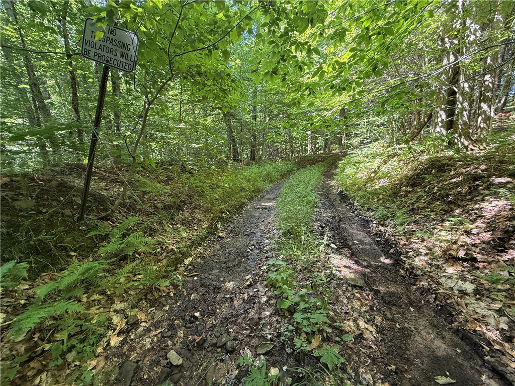 V/l Beaver Creek Road Redfield, NY 13437 - Photo 2 of 35 Gallery Image 2