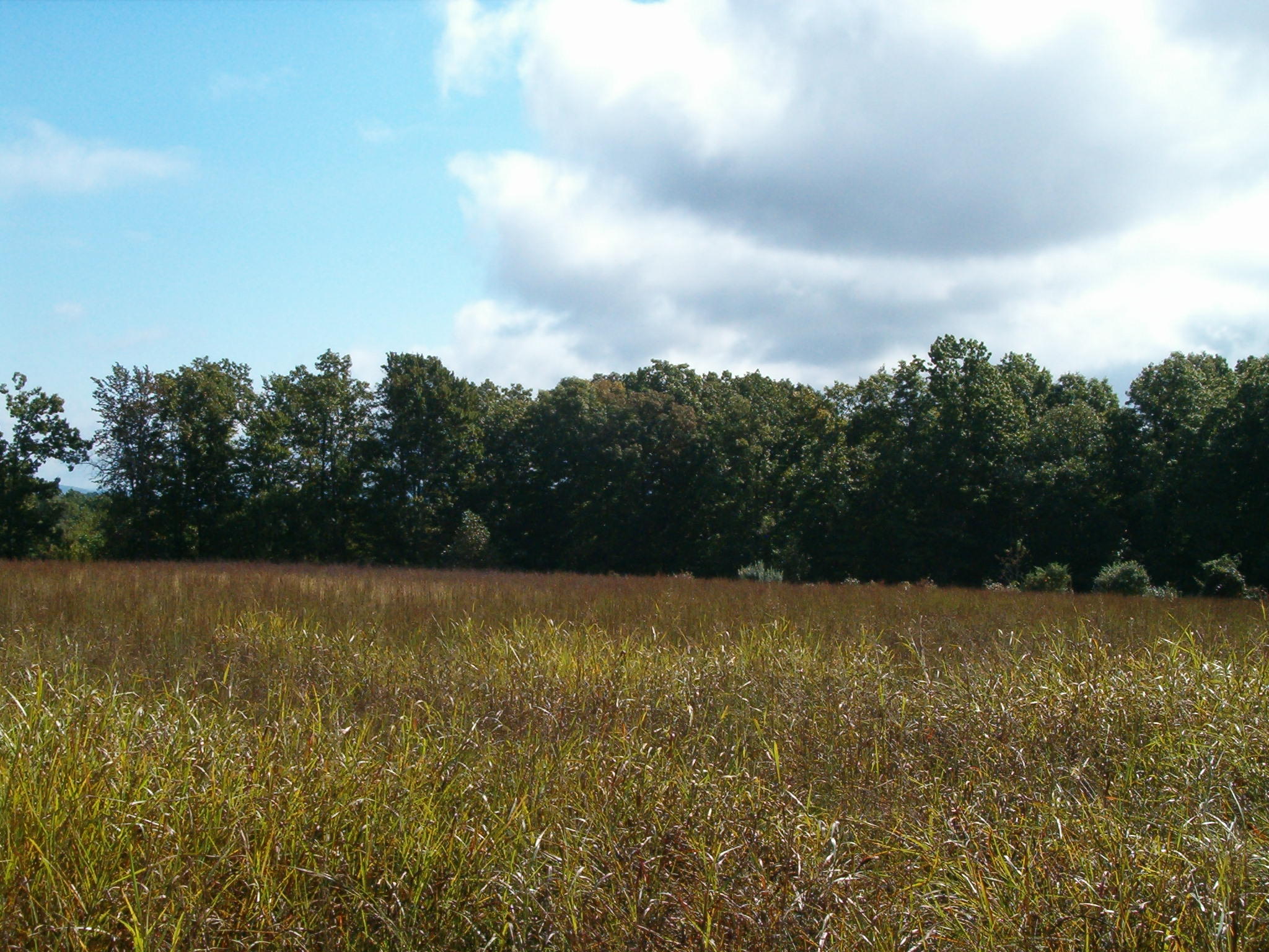 Nydeck Road Sunbright, TN 37872 - Photo 1 of 9 009