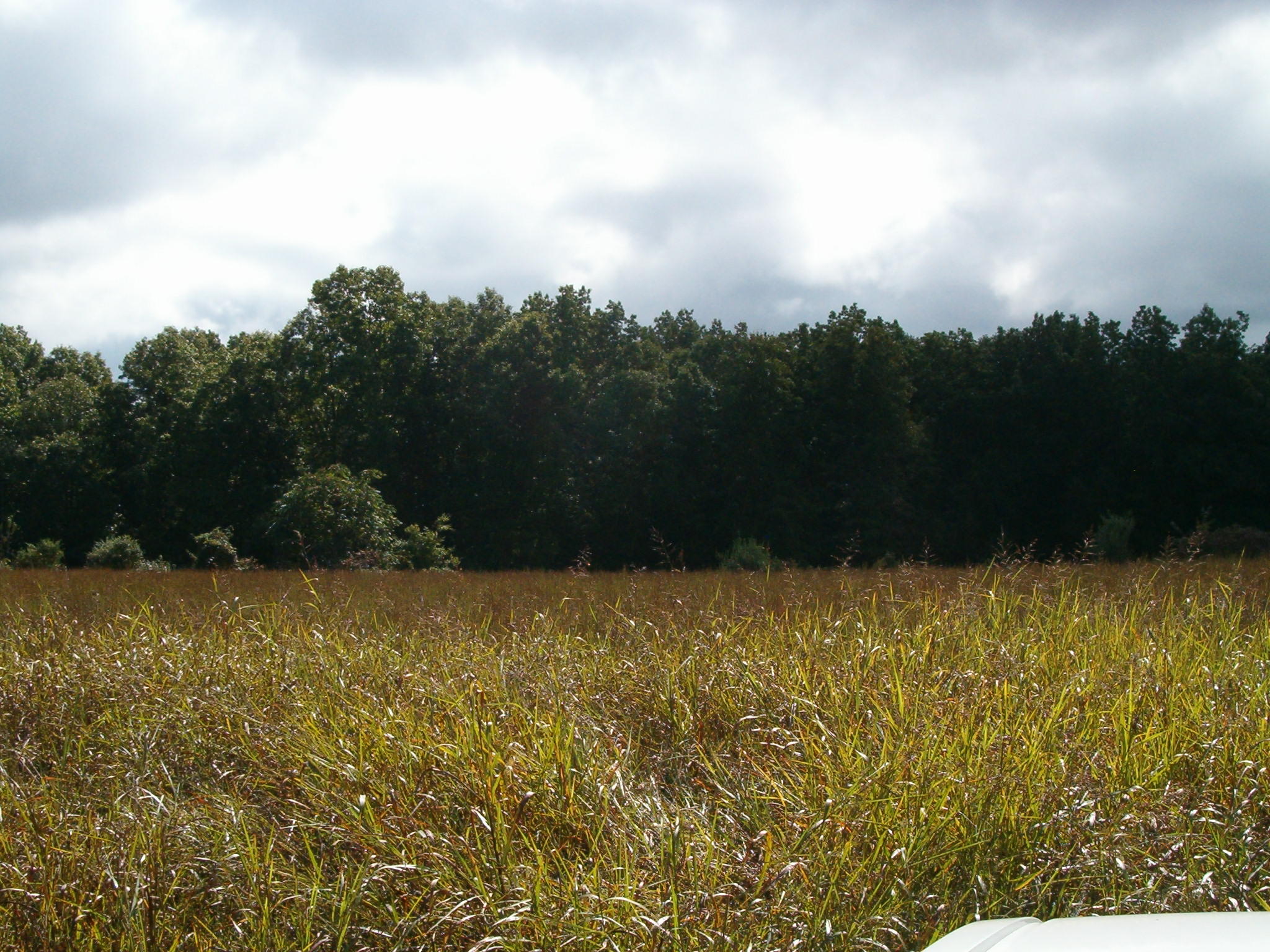 Nydeck Road Sunbright, TN 37872 - Photo 2 of 9 010