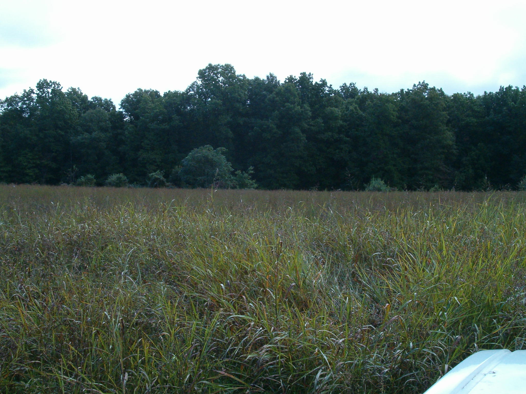 Nydeck Road Sunbright, TN 37872 - Photo 5 of 9 003