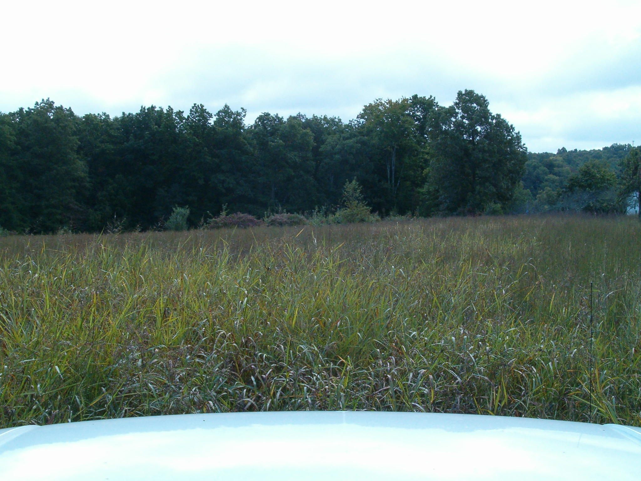 Nydeck Road Sunbright, TN 37872 - Photo 6 of 9 004