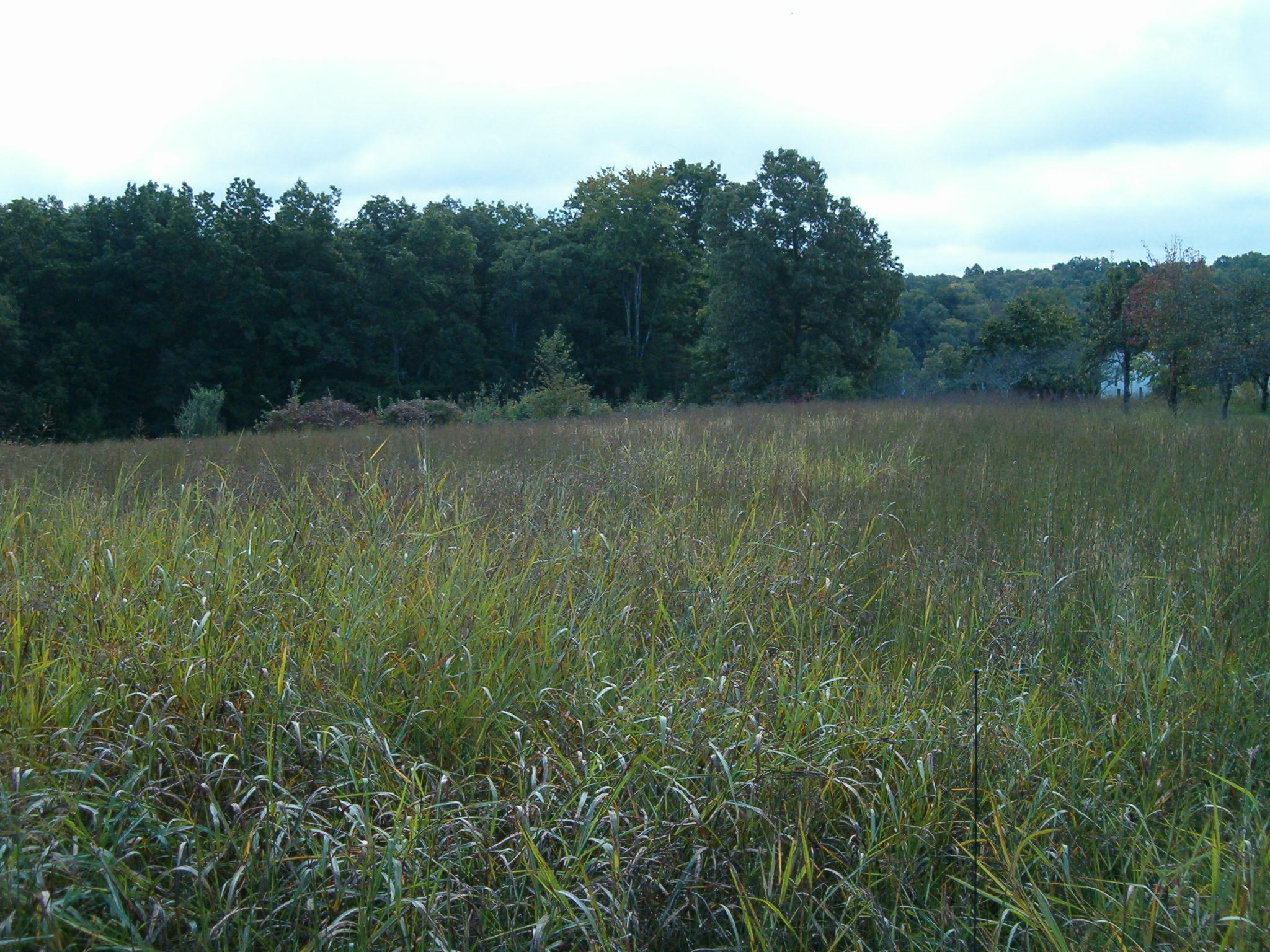 Nydeck Road Sunbright, TN 37872 - Photo 7 of 9 005