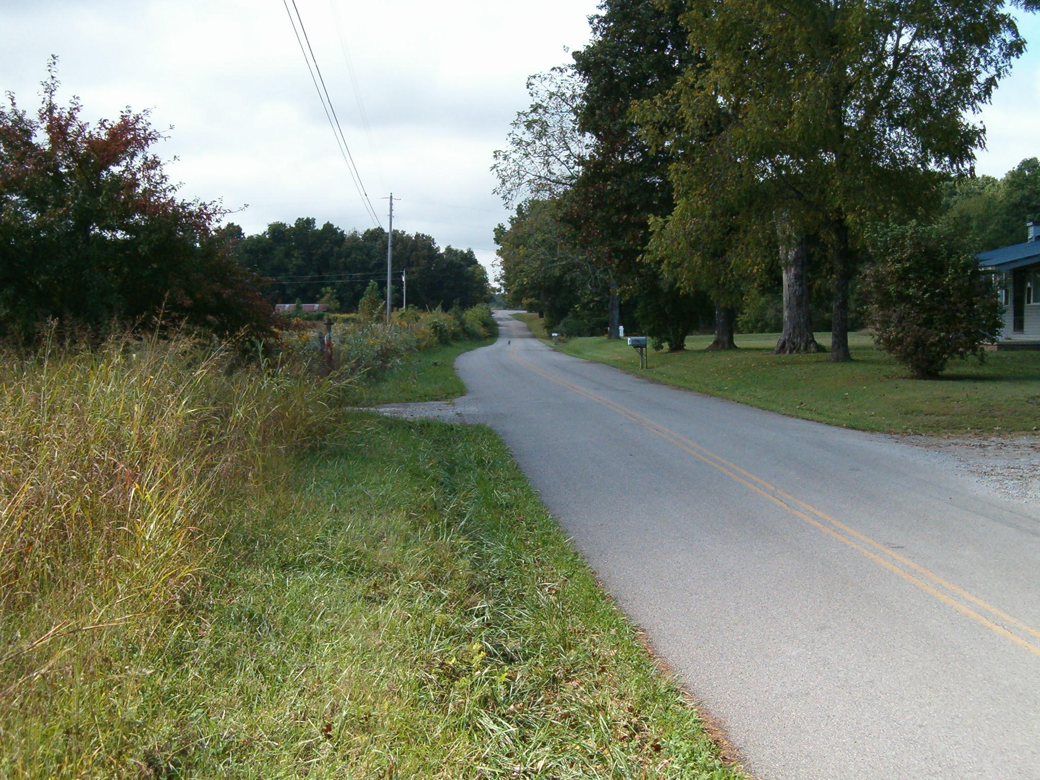 Nydeck Road Sunbright, TN 37872 - Photo 9 of 9 008