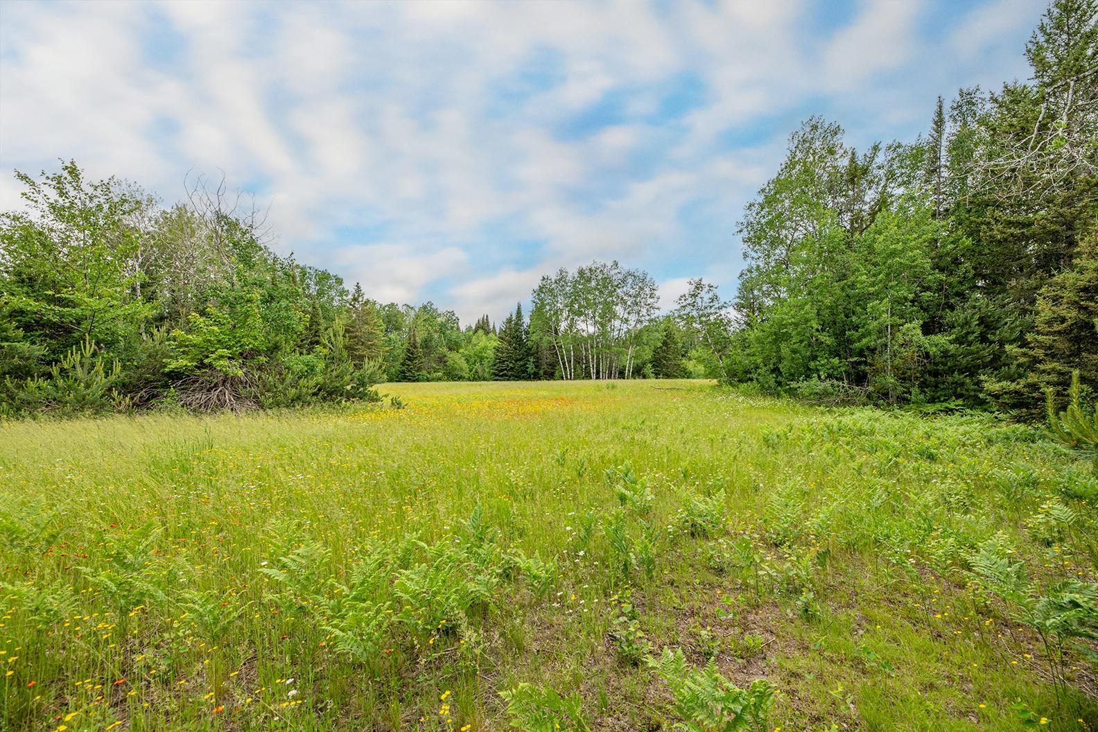 Three South Big Lake Loop Road, Unit 69AC Three Lakes, WI 54562 - Photo 11 of 30 Gallery Image 11