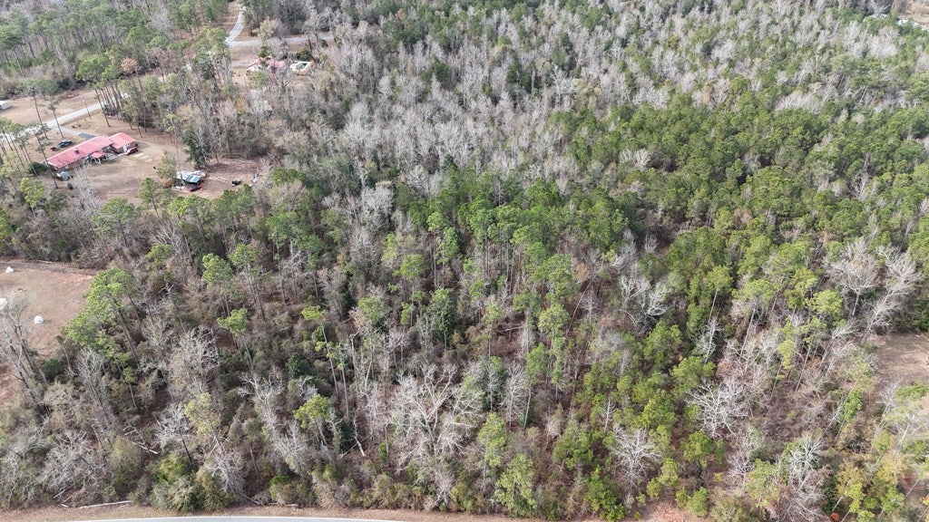 0 Booster Club Road, Unit 39 Bainbridge, GA 39819 - Photo 4 of 24 Gallery Image 4