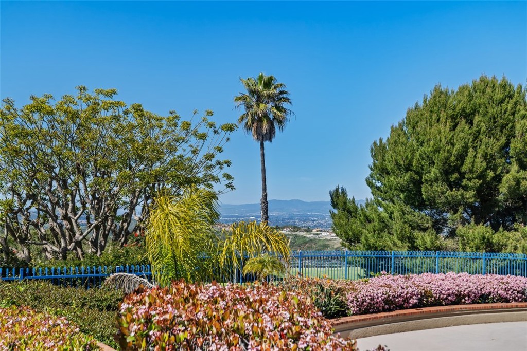 3 Nice Laguna Niguel, CA 92677 - Photo 44 of 66 a view of a garden with a tree in a yard