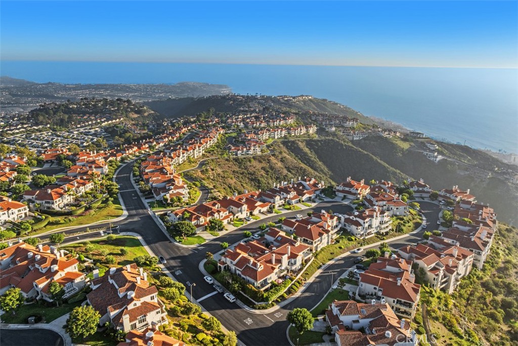 3 Nice Laguna Niguel, CA 92677 - Photo 60 of 66 an aerial view of residential houses with outdoor space