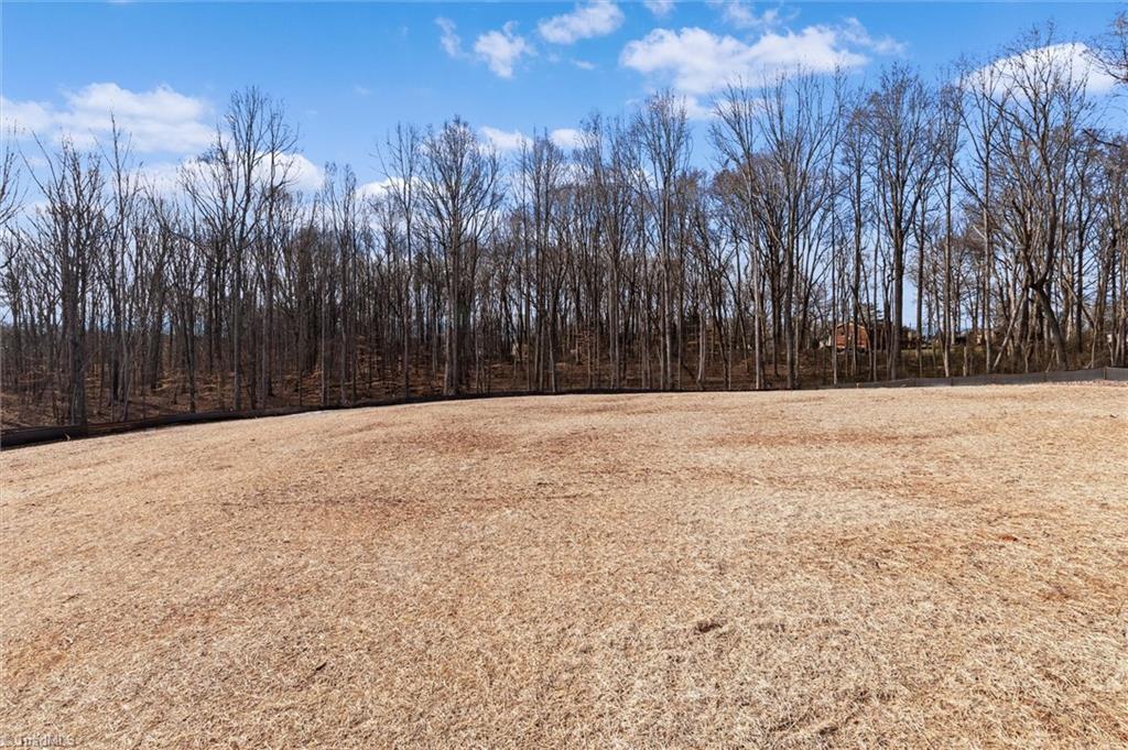 6061 Frye Bridge Road Clemmons, NC 27012 - Photo 36 of 39