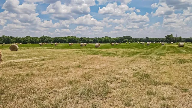 $396,900 | 21-acres Gathings Avenue, Covington, TX 76636