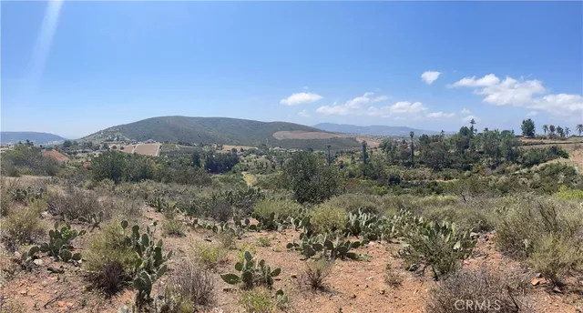 a view of a city with lush green forest