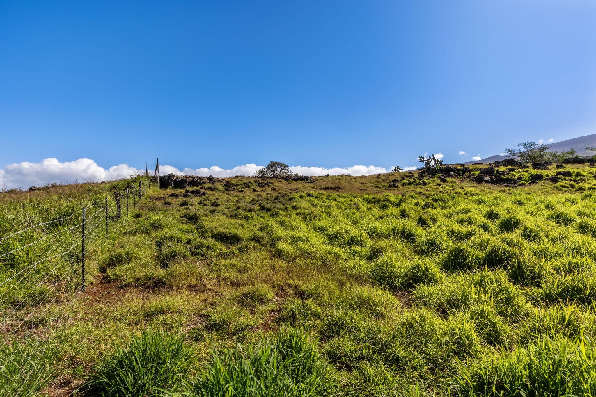 0 Calasa Road Kula, HI 96790 - Photo 5 of 39