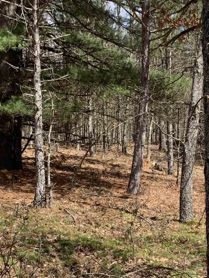 10 East 14 Mile Road Paris, MI 49338 - Photo 11 of 12