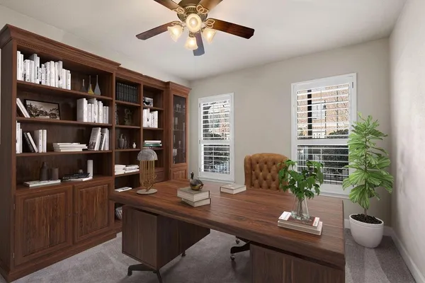a view of a workspace with a bookshelf and a potted plant