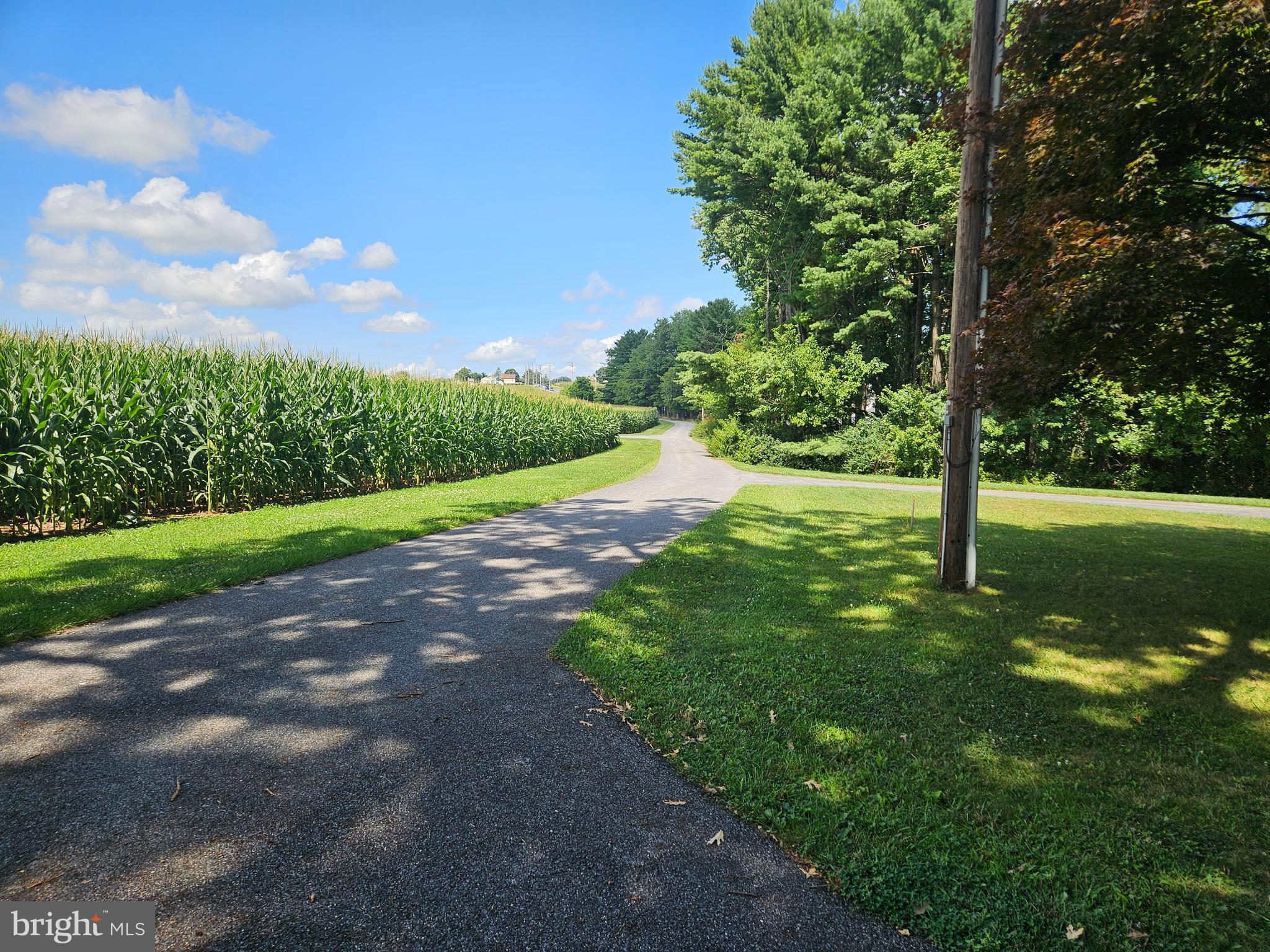 2933 Hampstead Mexico Road Hampstead, MD 21074 - Photo 59 of 64 Yard