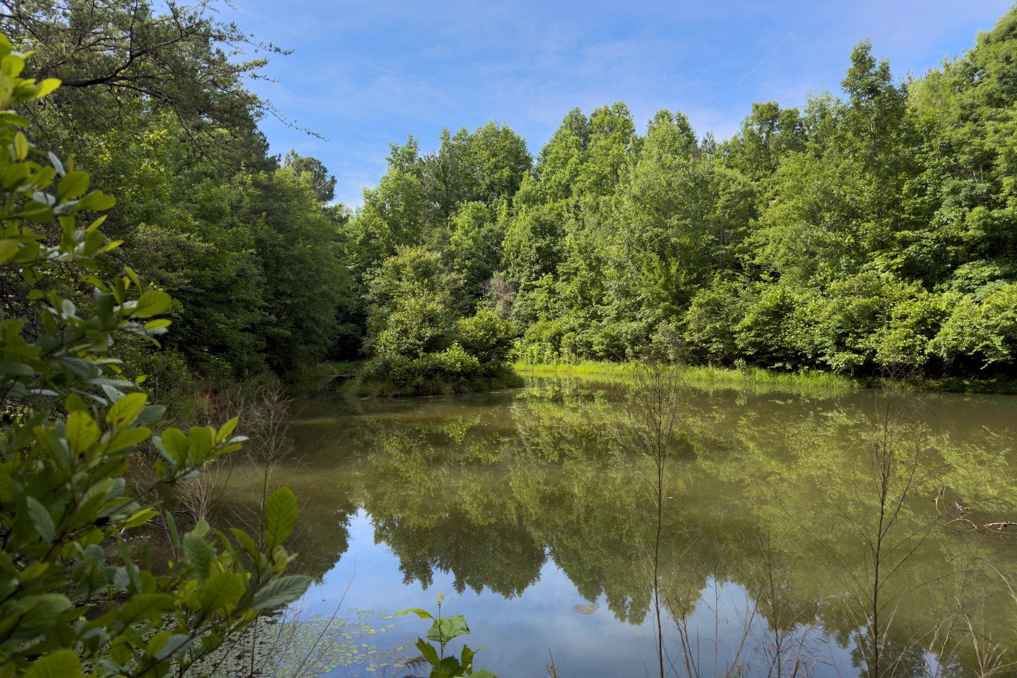 Tbd Melvin Hill Road Campobello, SC 29322 - Photo 22 of 29