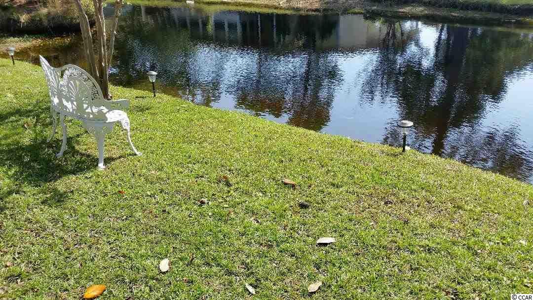 3315 Shagbark Trail Murrells Inlet, SC 29576 - Photo 30 of 31