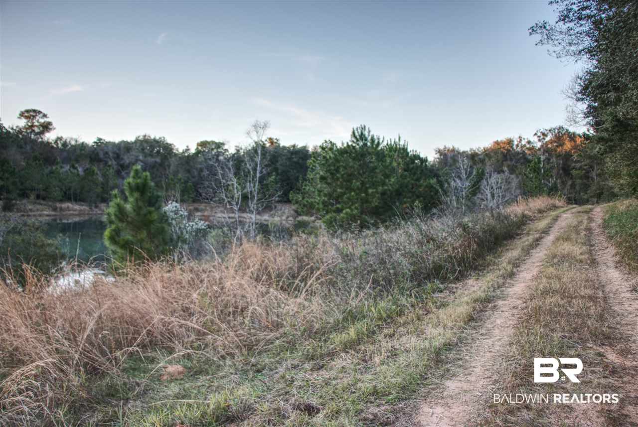 9747 Hickory Street South Foley, AL 36535 - Photo 4 of 14