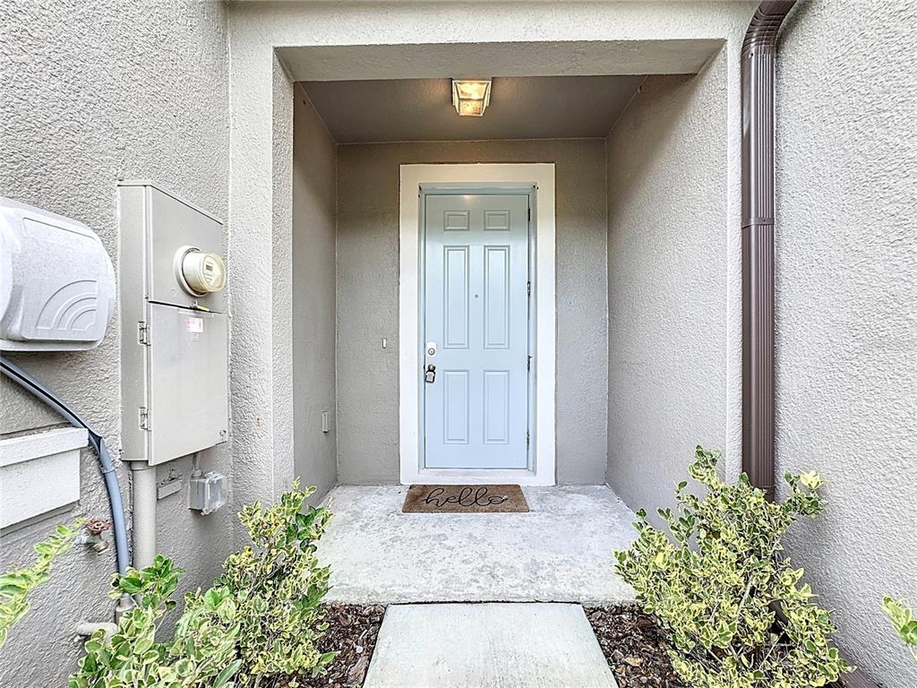 8069 Rolling Shell Trail Wesley Chapel, FL 33545 - Photo 2 of 26 a front view of a house with a yard