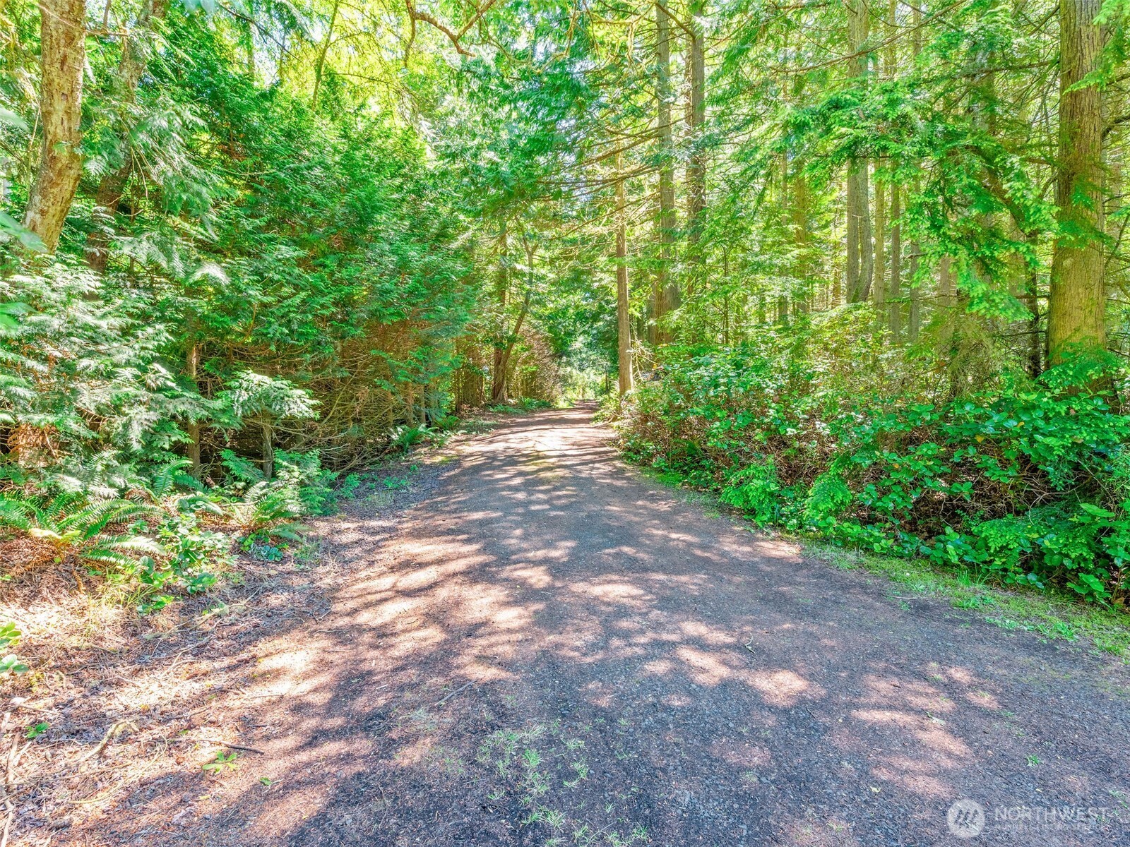 440 Pond Road Port Townsend, WA 98368 - Photo 39 of 39