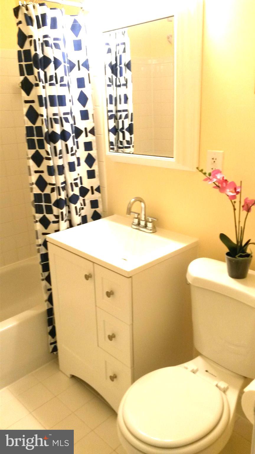 1009 Chillum Road, Unit 314 Hyattsville, MD 20782 - Photo 22 of 46 Stylish bath