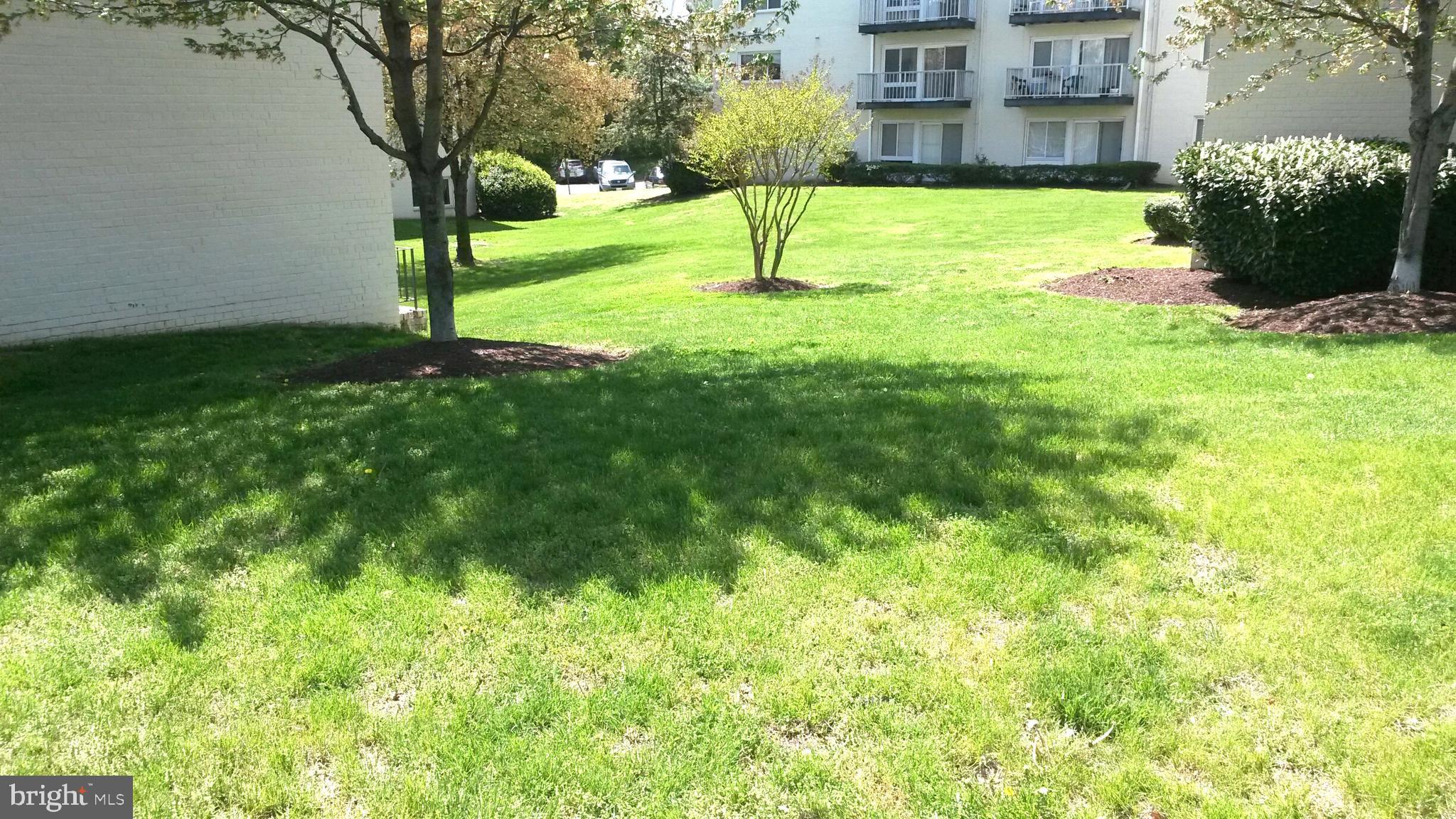 1009 Chillum Road, Unit 314 Hyattsville, MD 20782 - Photo 35 of 46 Grassy area to right of building