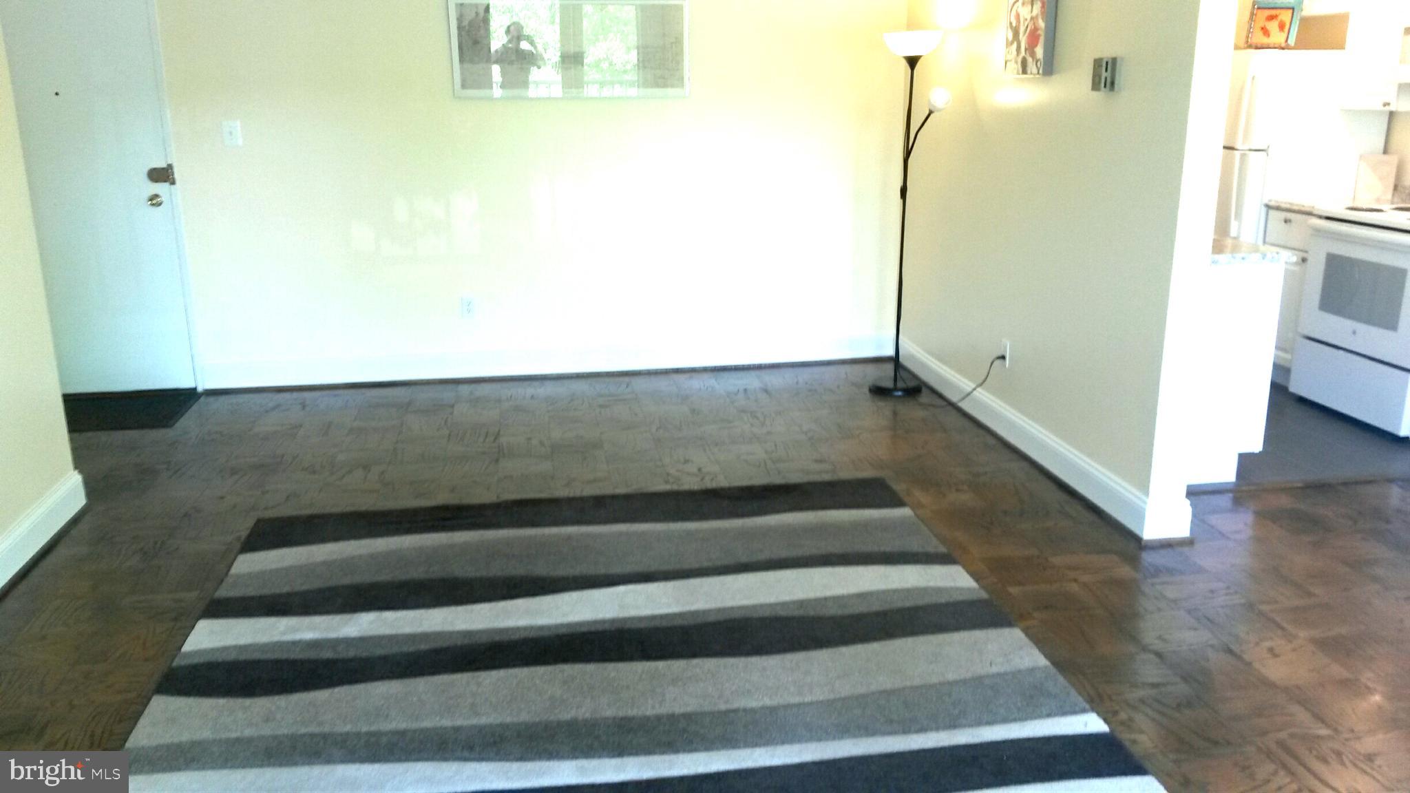 1009 Chillum Road, Unit 314 Hyattsville, MD 20782 - Photo 6 of 46 Living room viewed from balcony wall