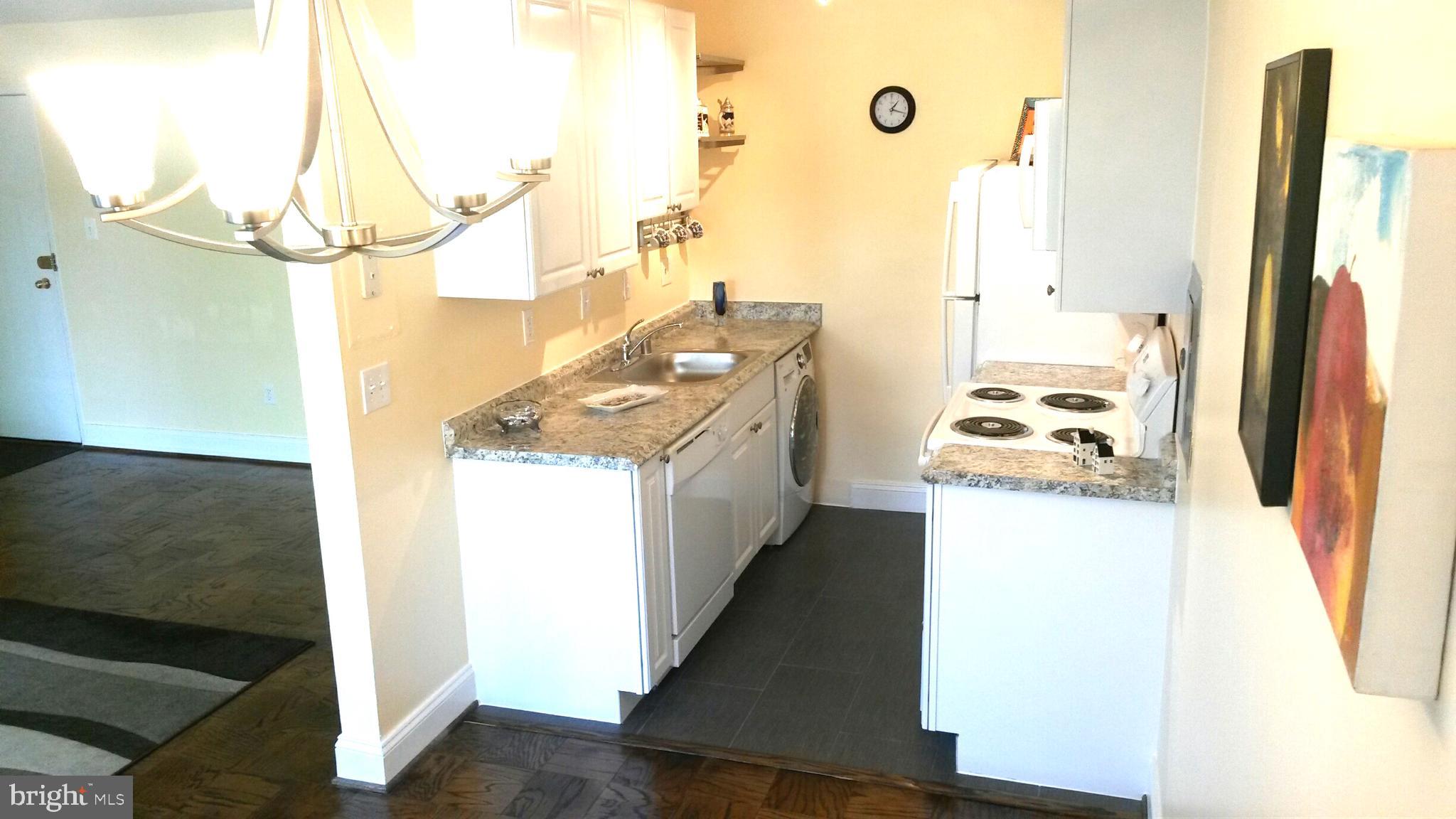 1009 Chillum Road, Unit 314 Hyattsville, MD 20782 - Photo 9 of 46 Stylish Galley Kitchen!