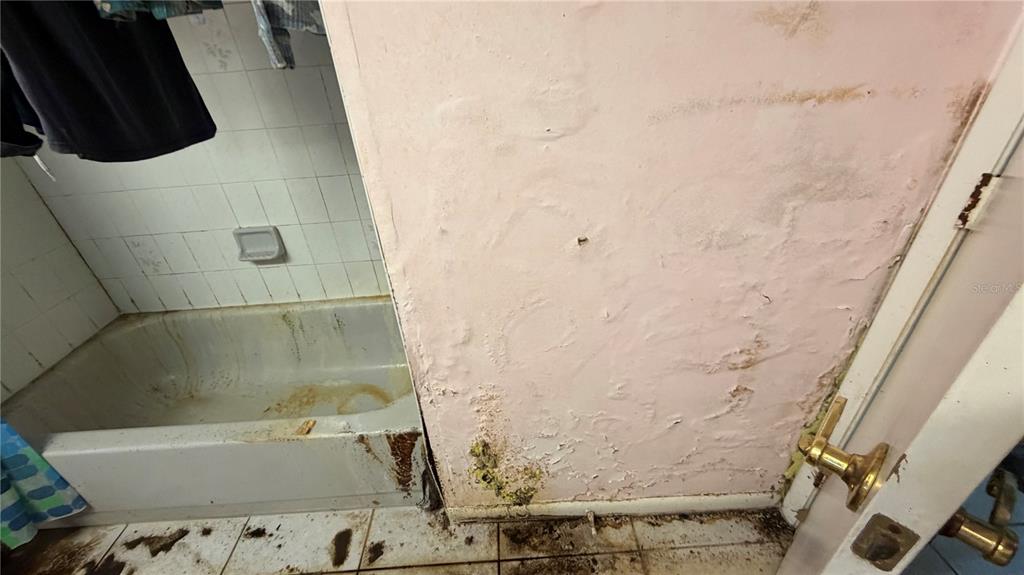 2462 Stephanie Drive Spring Hill, FL 34608 - Photo 17 of 51