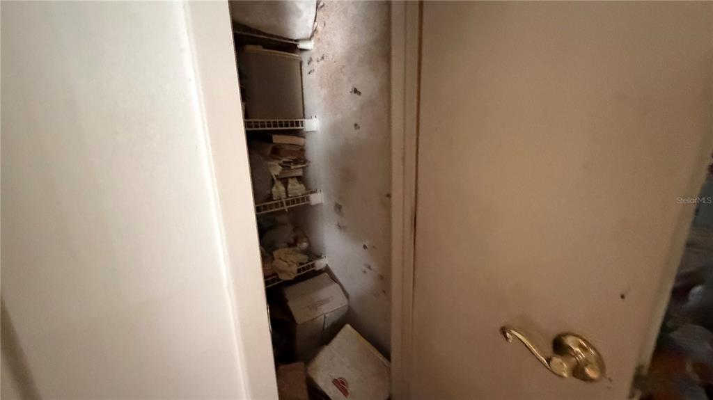 2462 Stephanie Drive Spring Hill, FL 34608 - Photo 21 of 51