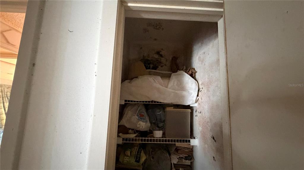 2462 Stephanie Drive Spring Hill, FL 34608 - Photo 22 of 51