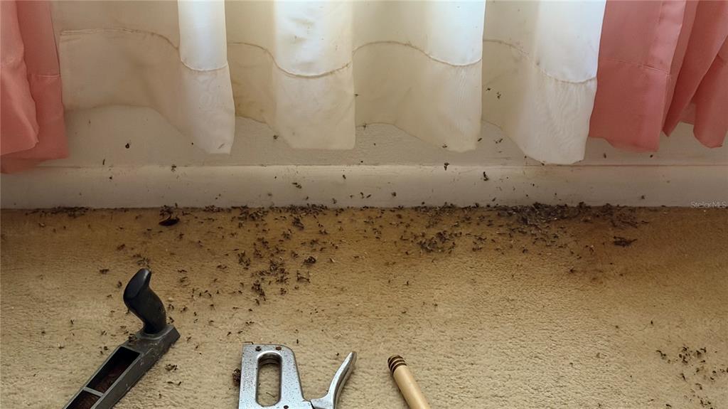 2462 Stephanie Drive Spring Hill, FL 34608 - Photo 24 of 51