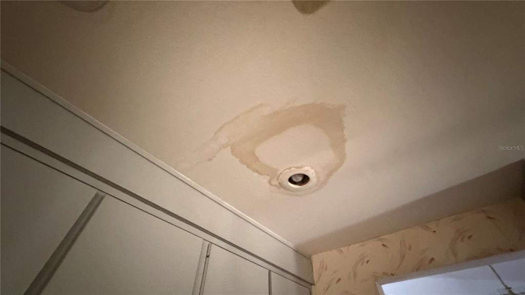 2462 Stephanie Drive Spring Hill, FL 34608 - Photo 30 of 51