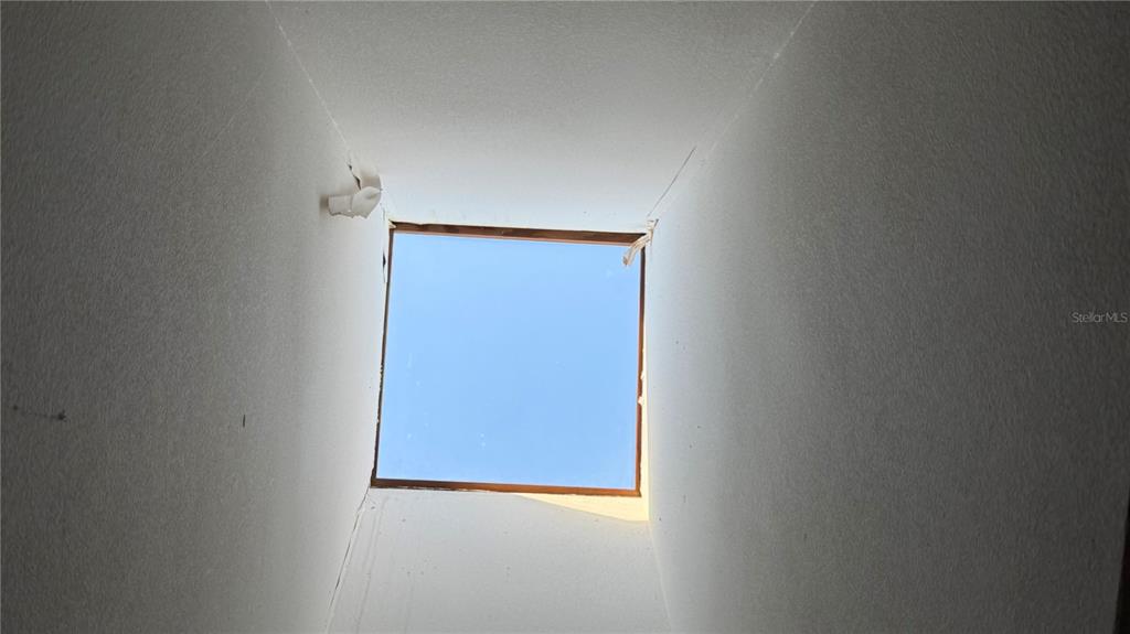 2462 Stephanie Drive Spring Hill, FL 34608 - Photo 32 of 51