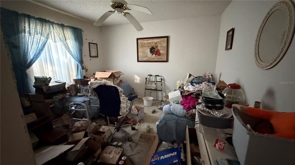 2462 Stephanie Drive Spring Hill, FL 34608 - Photo 39 of 51