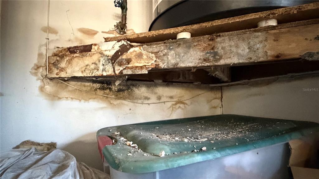 2462 Stephanie Drive Spring Hill, FL 34608 - Photo 41 of 51