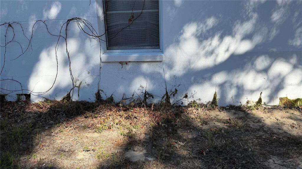 2462 Stephanie Drive Spring Hill, FL 34608 - Photo 44 of 51