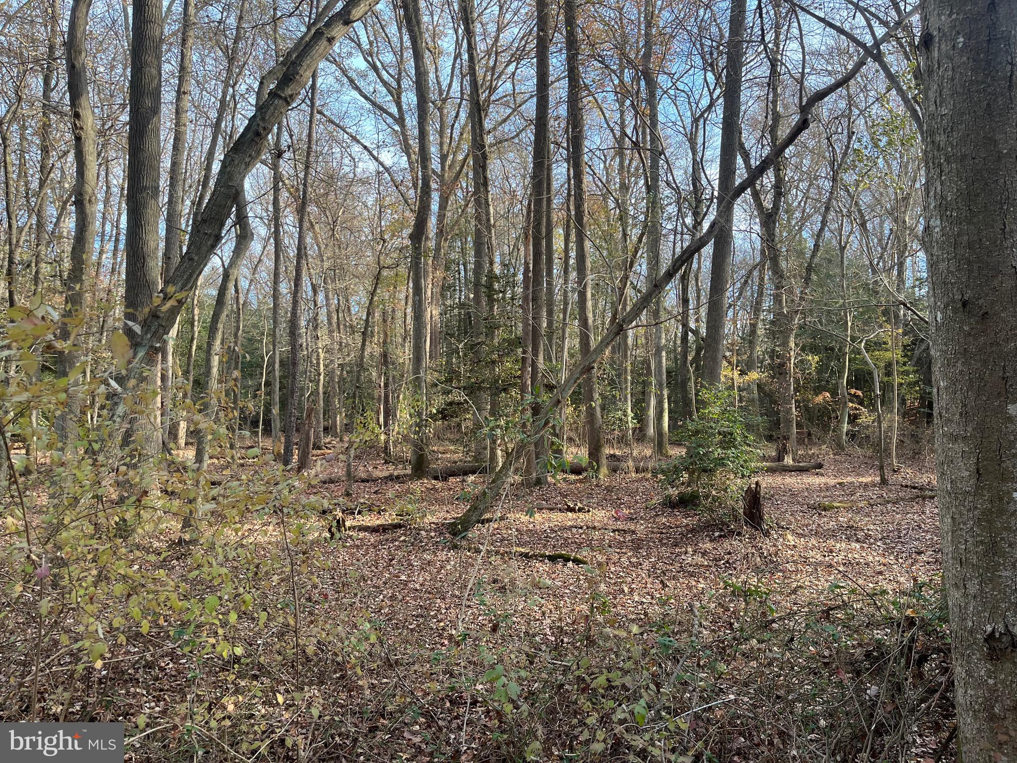 Public Landing Road Snow Hill, MD 21863 - Photo 3 of 22 Gallery Image 3