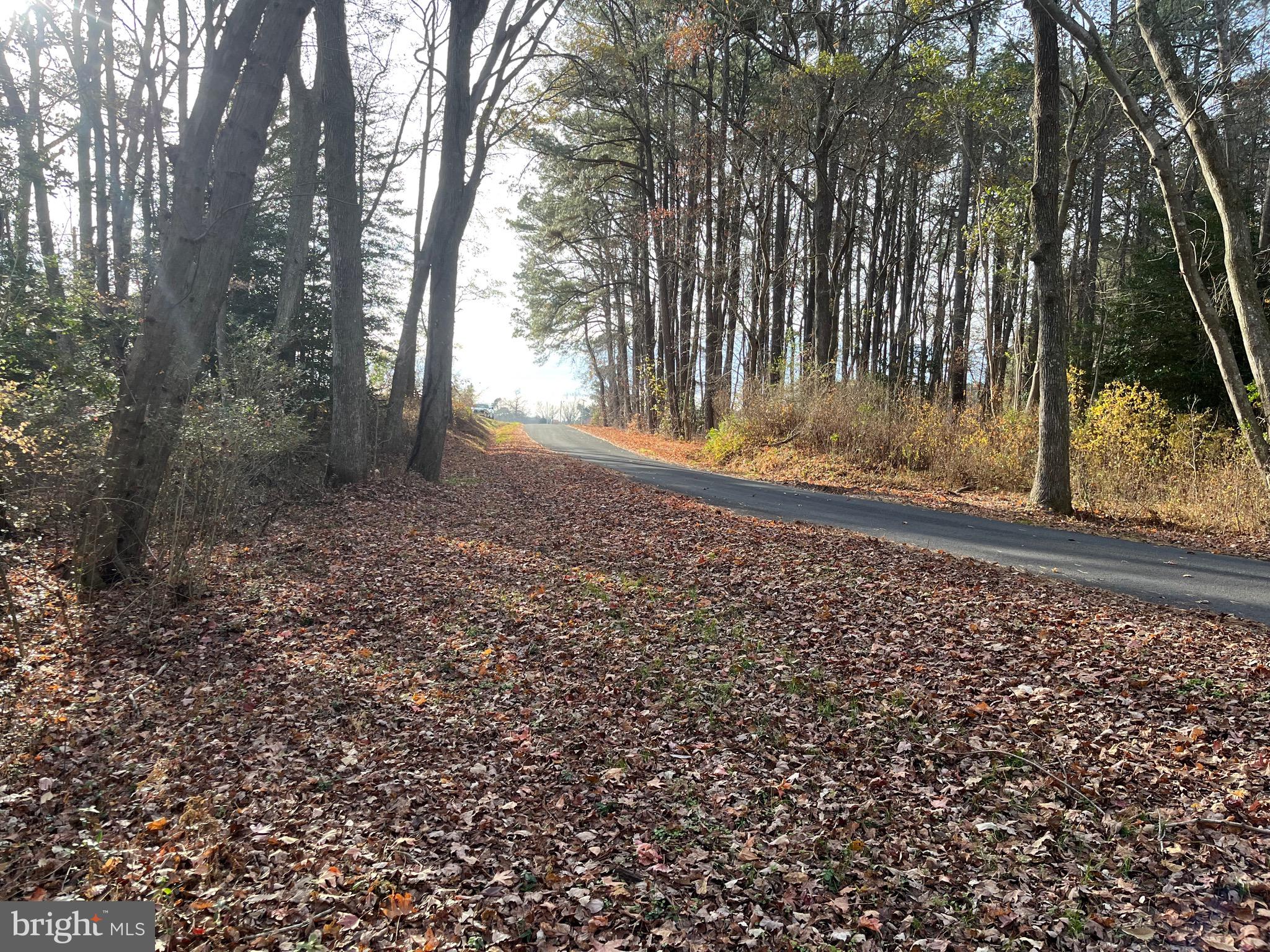 Public Landing Road Snow Hill, MD 21863 - Photo 5 of 22 Gallery Image 5