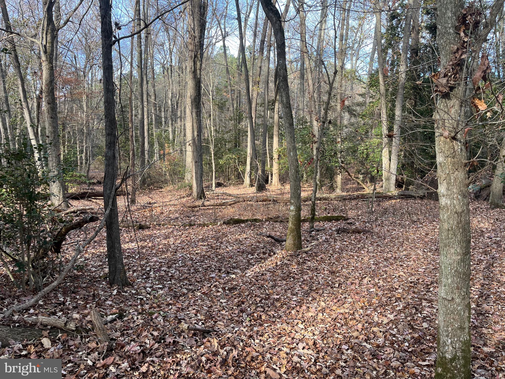 Public Landing Road Snow Hill, MD 21863 - Photo 6 of 22 Gallery Image 6