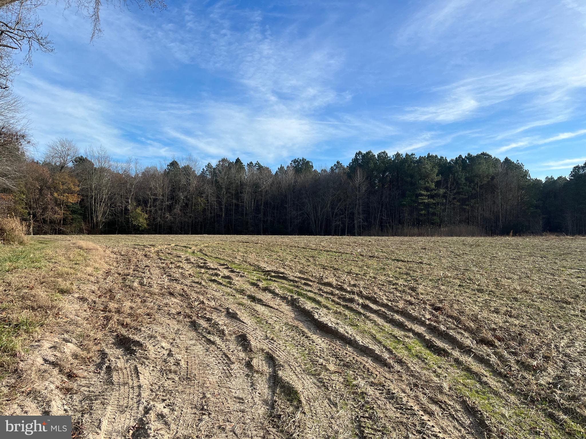 Public Landing Road Snow Hill, MD 21863 - Photo 8 of 22 Gallery Image 8