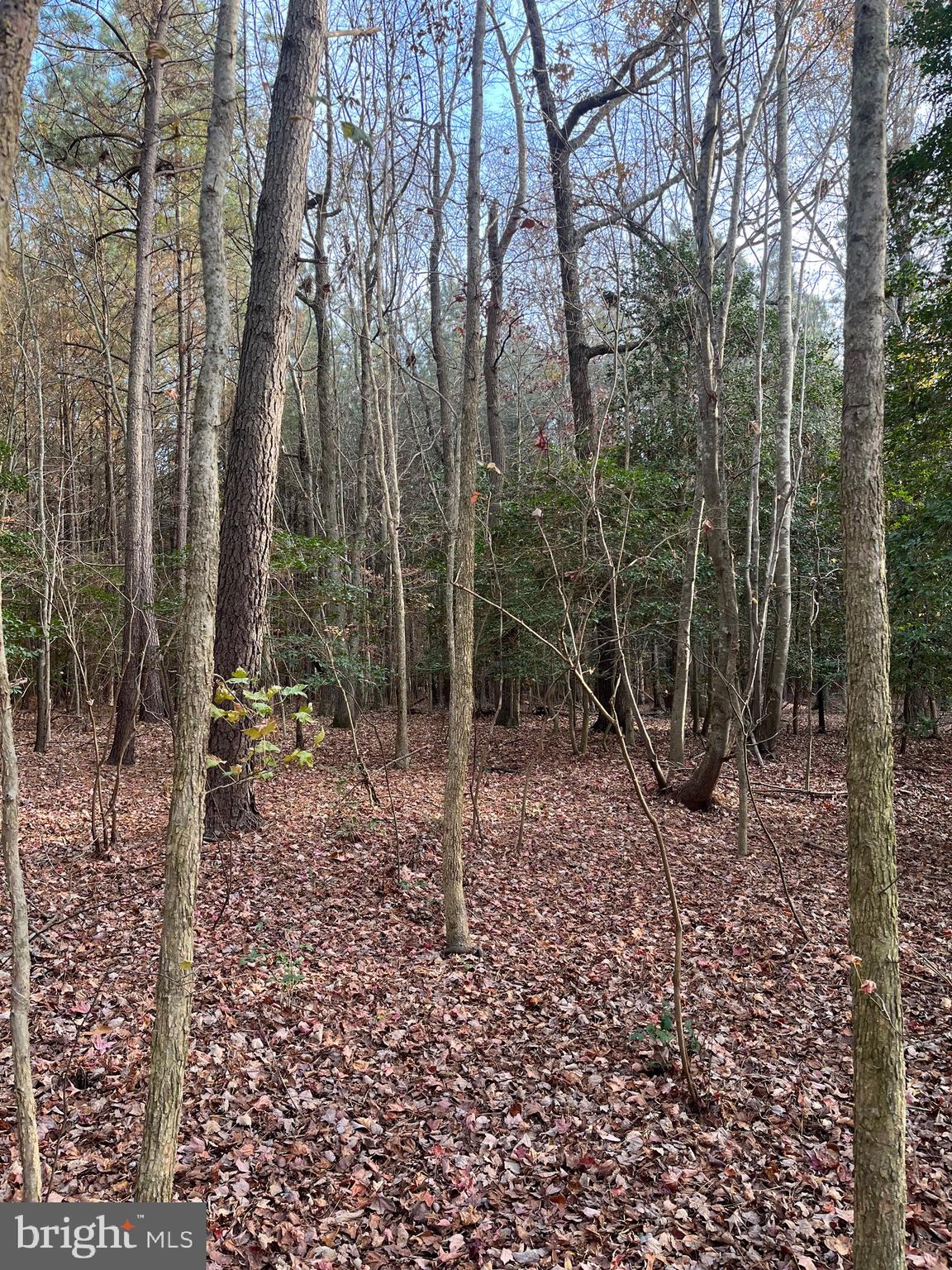 Public Landing Road Snow Hill, MD 21863 - Photo 10 of 22 Gallery Image 10
