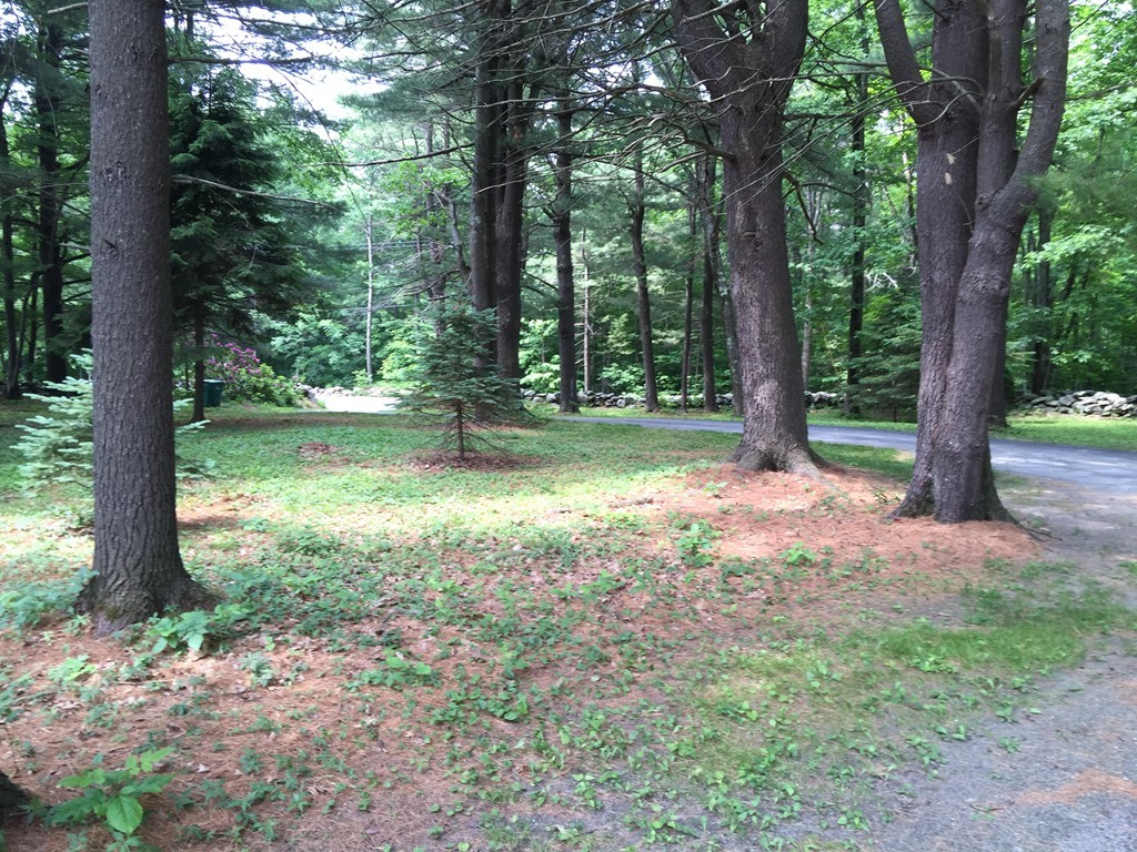 45 Gregory Road Princeton, MA 01541 - Photo 30 of 30 a view of a yard with a tree