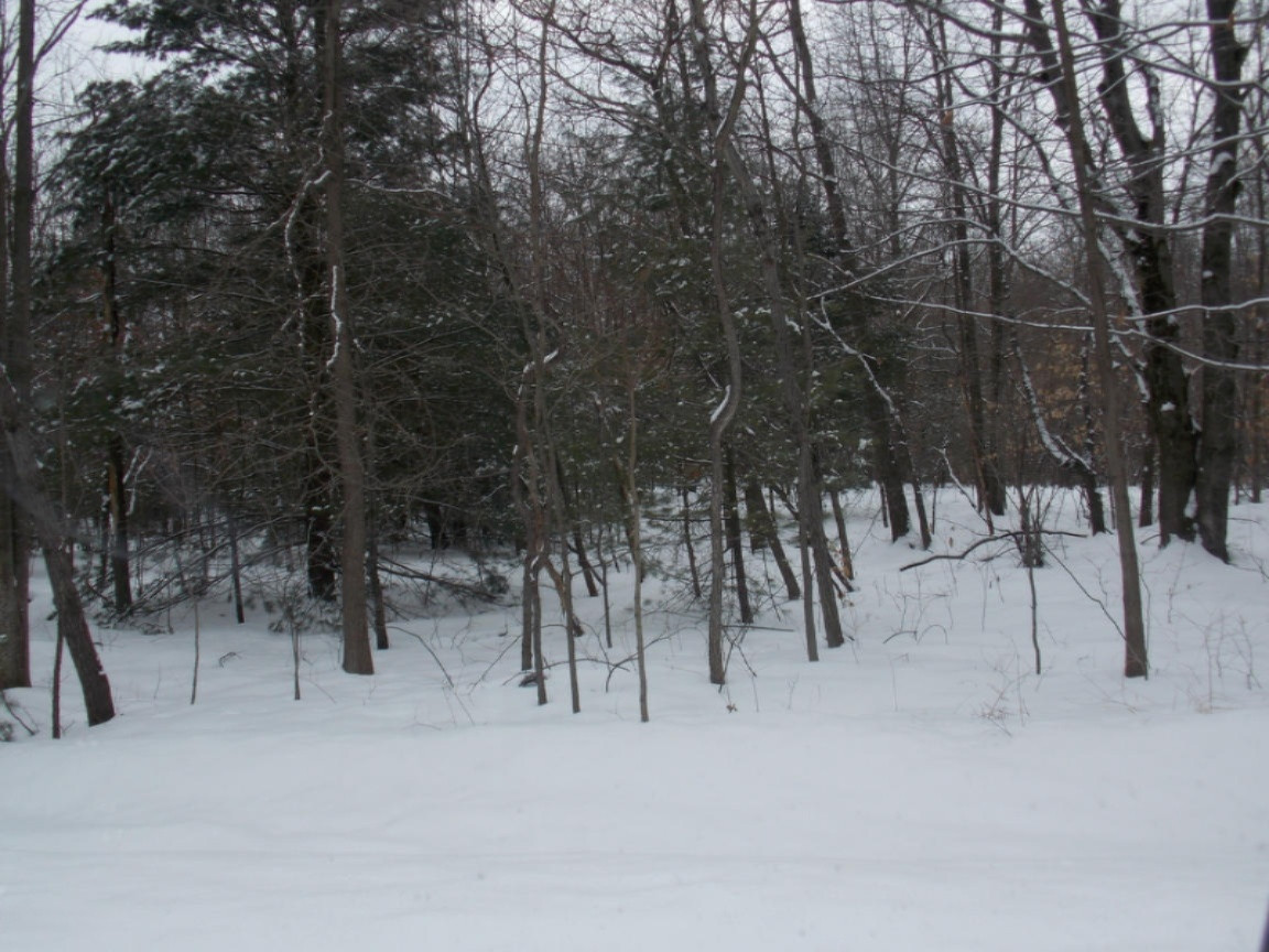 1455 Judson Road Spring Lake, MI 49456 - Photo 3 of 3 dscn2181