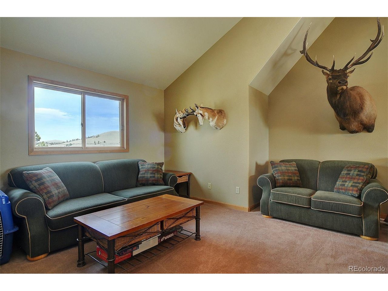 1251 Antelope Trail Cotopaxi, CO 81223 - Photo 18 of 38 a living room with furniture a couch and a window
