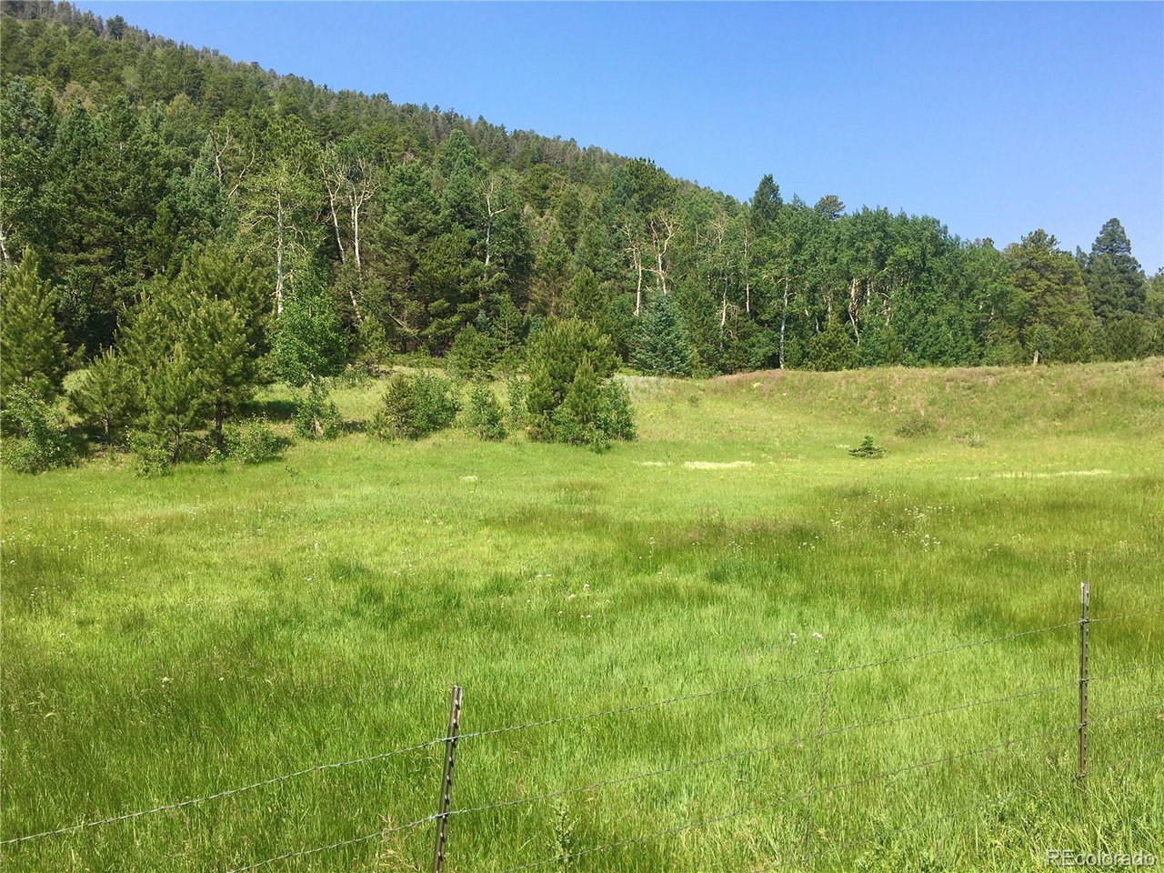 1251 Antelope Trail Cotopaxi, CO 81223 - Photo 35 of 38 a view of outdoor space with a yard