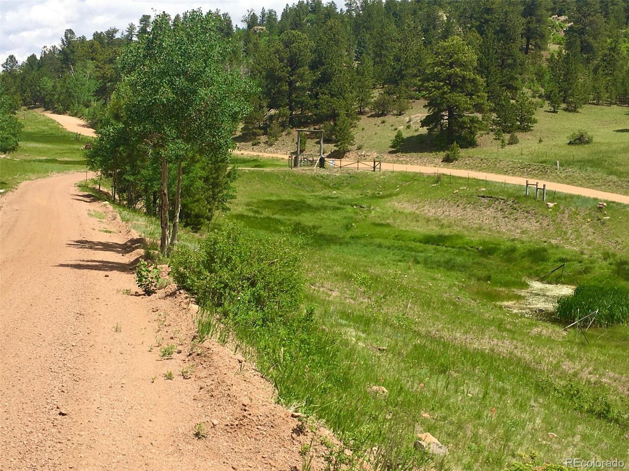 1251 Antelope Trail Cotopaxi, CO 81223 - Photo 36 of 38 a view of a yard with a large tree